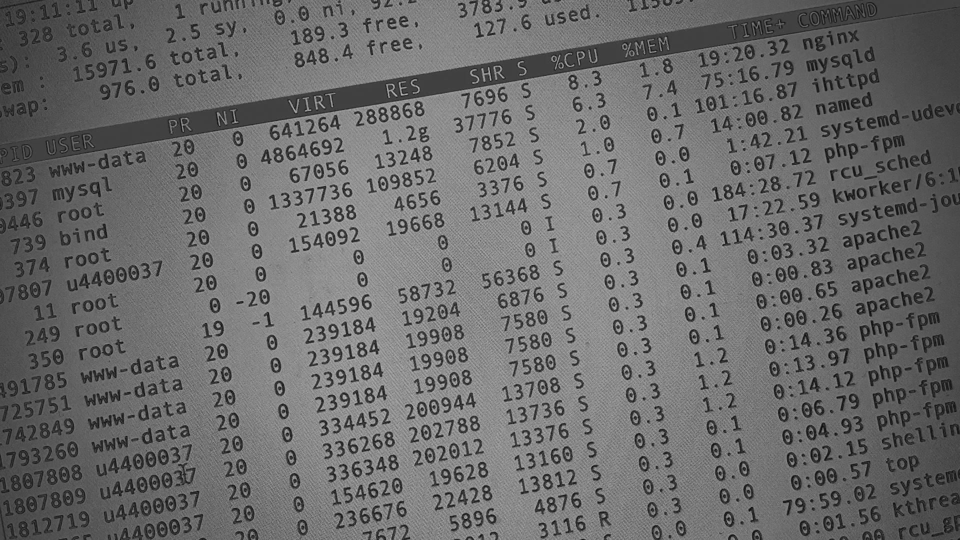 Настройка сервера в Арзамасе