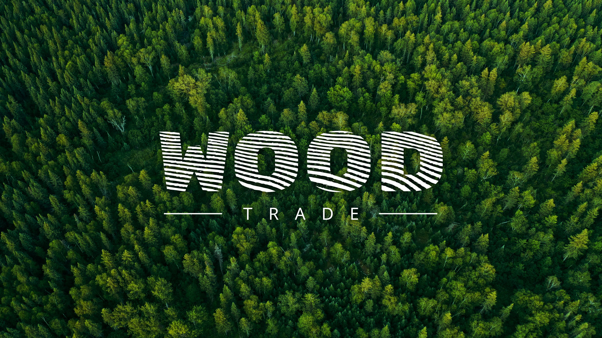 Разработка интернет-магазина компании «Wood Trade» в Арзамасе