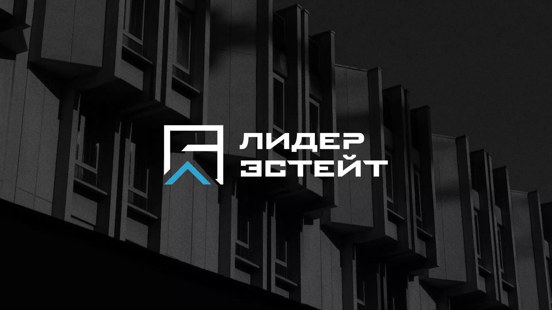 Разработка логотипа агентства недвижимости «Лидер Эстейт» в Арзамасе